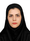 Bahareh Fahimirad